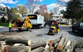 Best Utility Line Clearance  in Littleton, CO