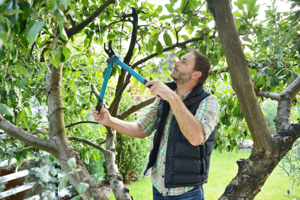 Best Lawn Watering Services  in Littleton, CO